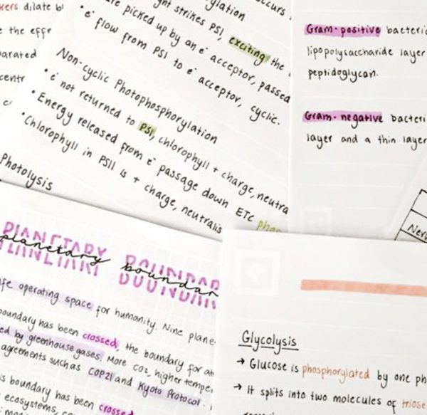 4 Tips on creating effective study notes
