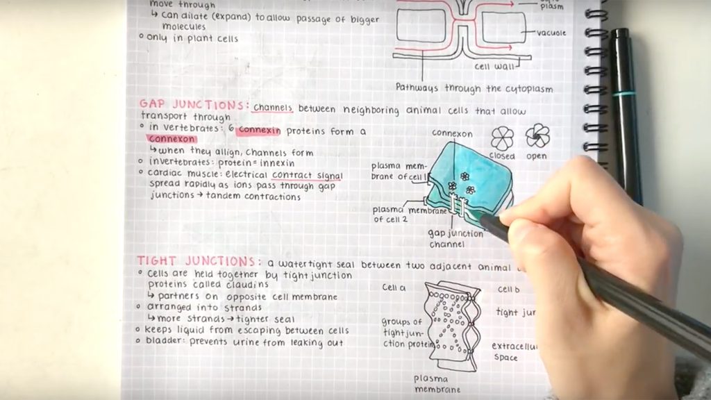 10 NOTE TAKING TIPS – HOW TO TAKE NEAT AND EFFECTIVE STUDY NOTES